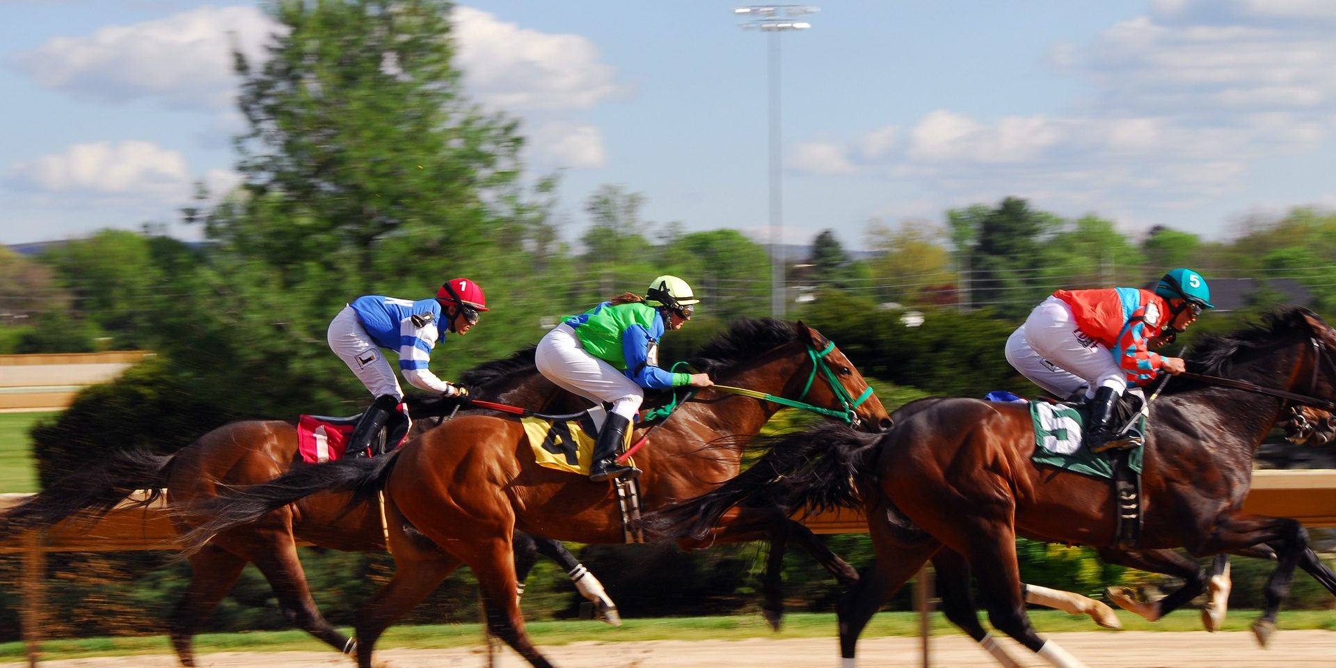 horse-racing-2107381_1920 Pferden