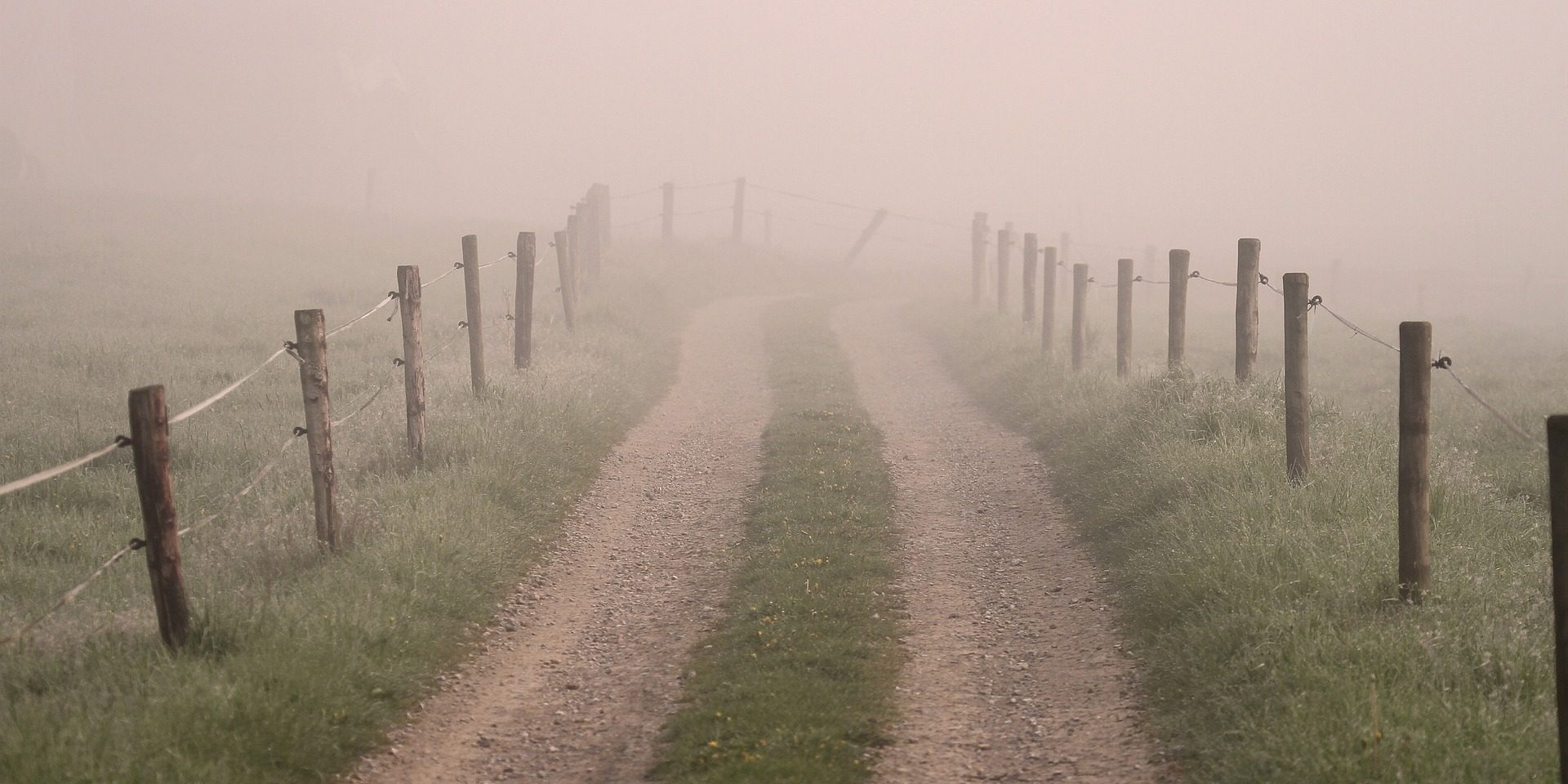 away-542479_1920 Karriere