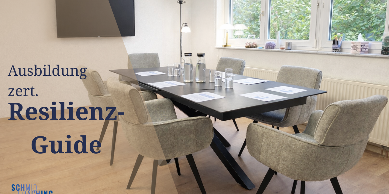 wordpress Bild Blog(18) Resilienz-Guide